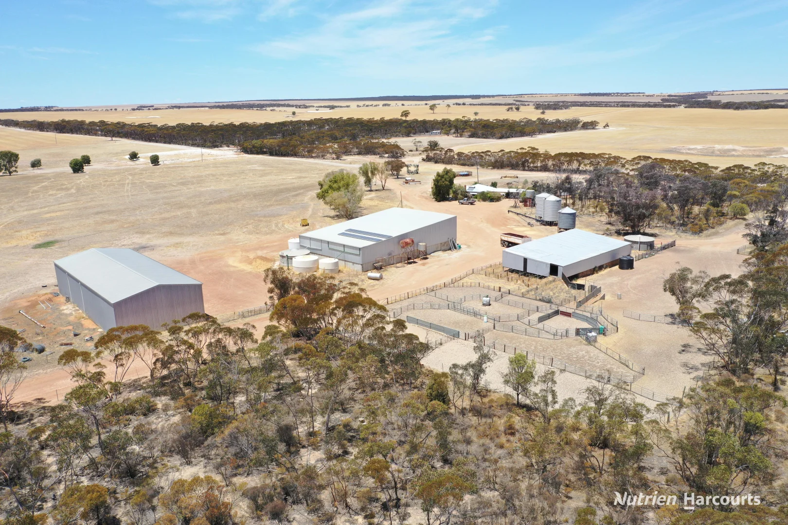 Additional image 8 of . Waitavalo Farms, Narembeen WA 6369