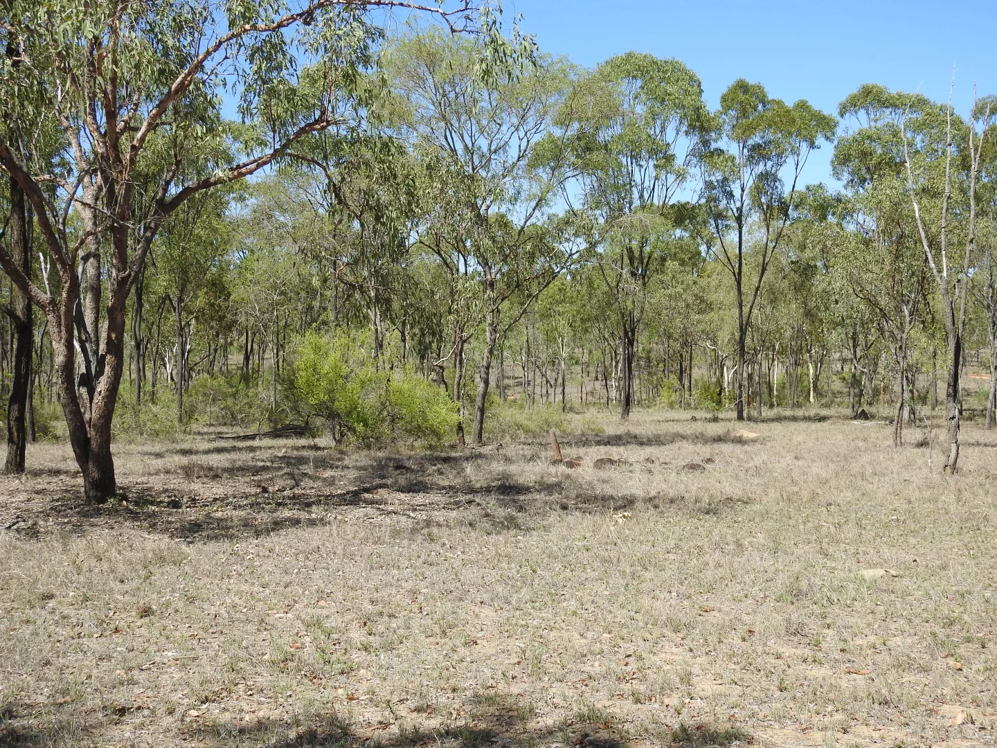 Additional image 17 of Broughton QLD 4820