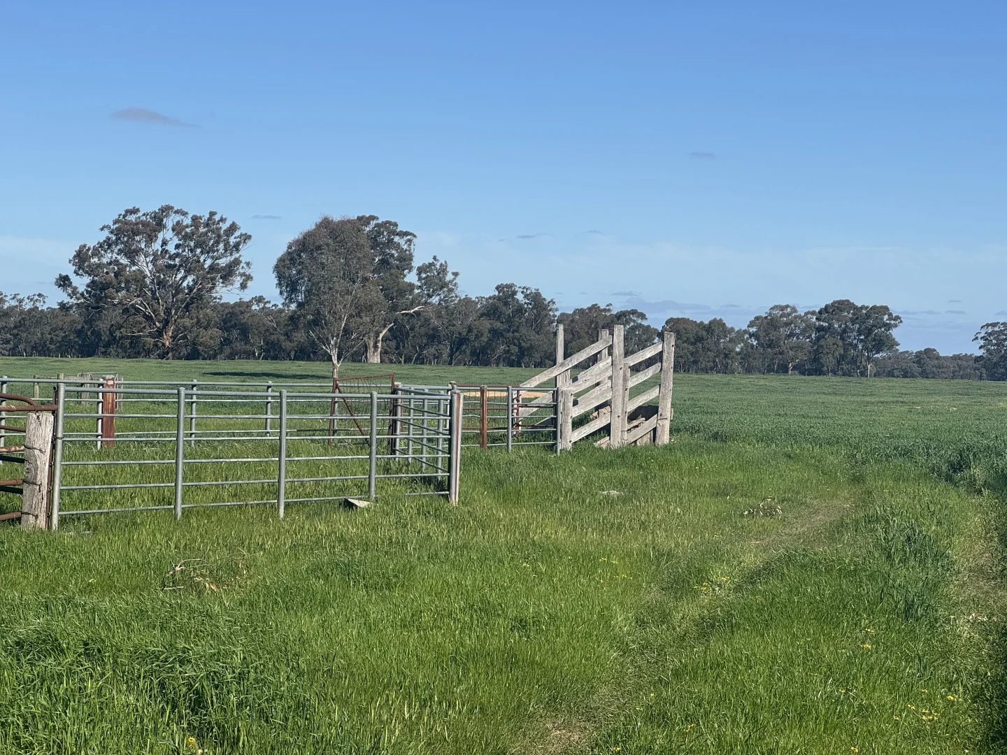 Additional image 30 of . Bangerang Road, Kanyapella VIC 3564