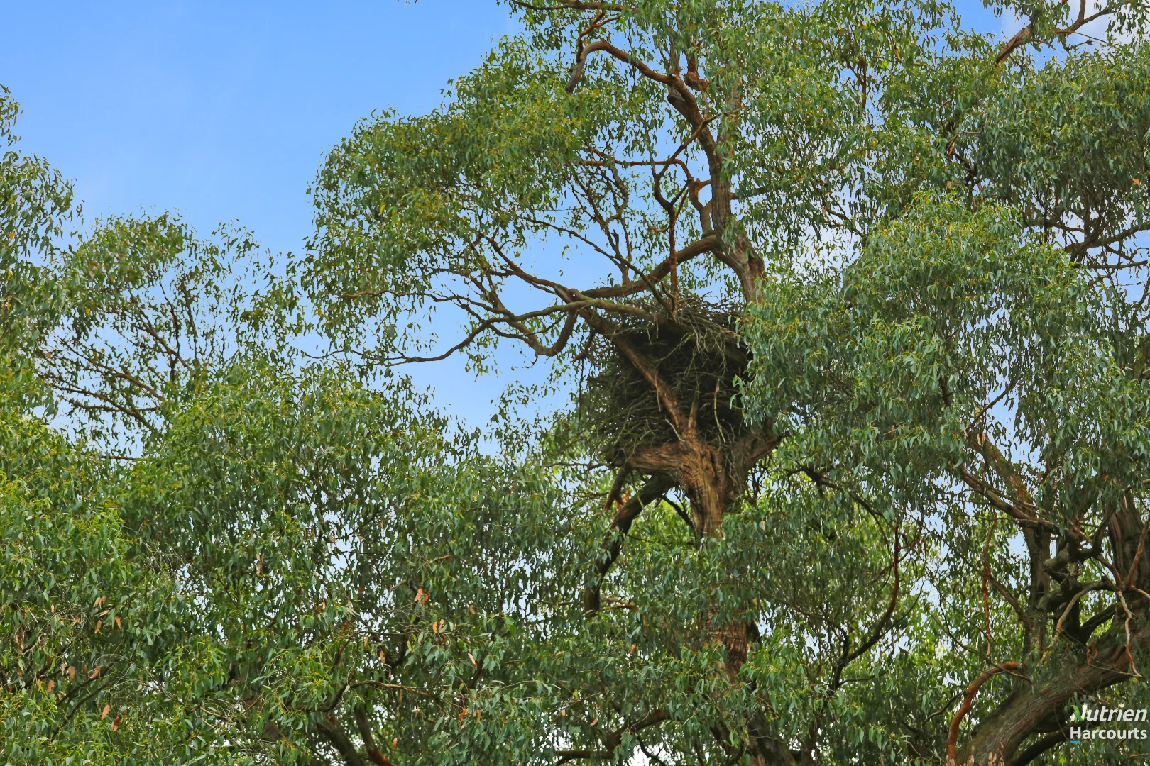 Additional image 9 of 201 Turrong Road, Cooriemungle VIC 3268