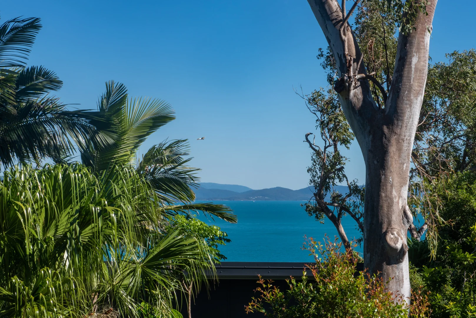 Additional image 10 of Oasis 26/5 Banksia Court, Hamilton Island QLD 4803