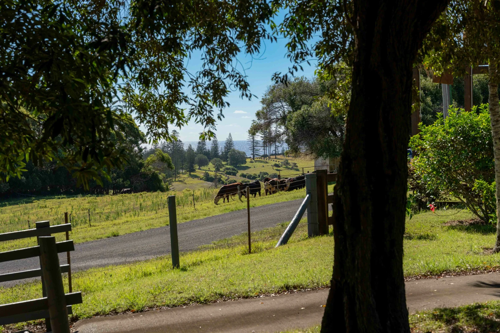 Additional image 4 of 30 Calebs Lane, Norfolk Island NSW 2899