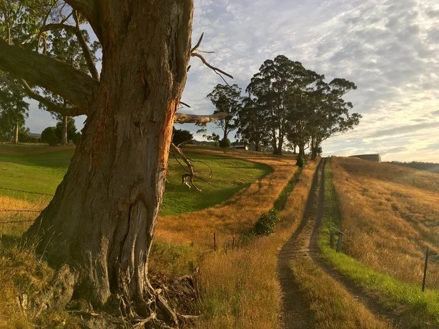 Additional image 17 of Lot 1 Winns Road, Cygnet TAS 7112