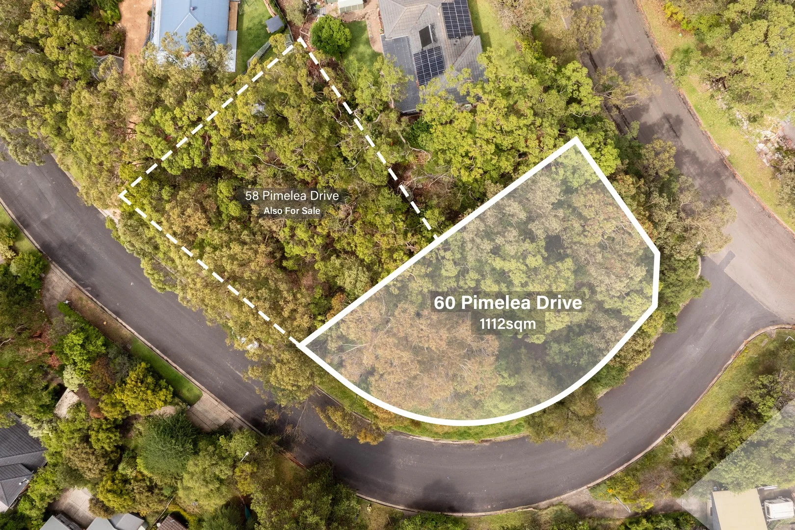 60 Pimelea Drive, Woodford NSW 2778