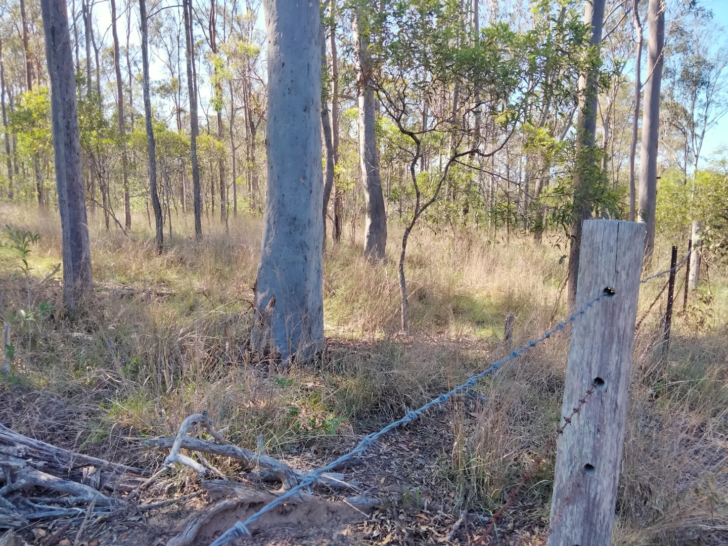 Additional image 54 of 2913 Rosedale Road, Yandaran QLD 4673