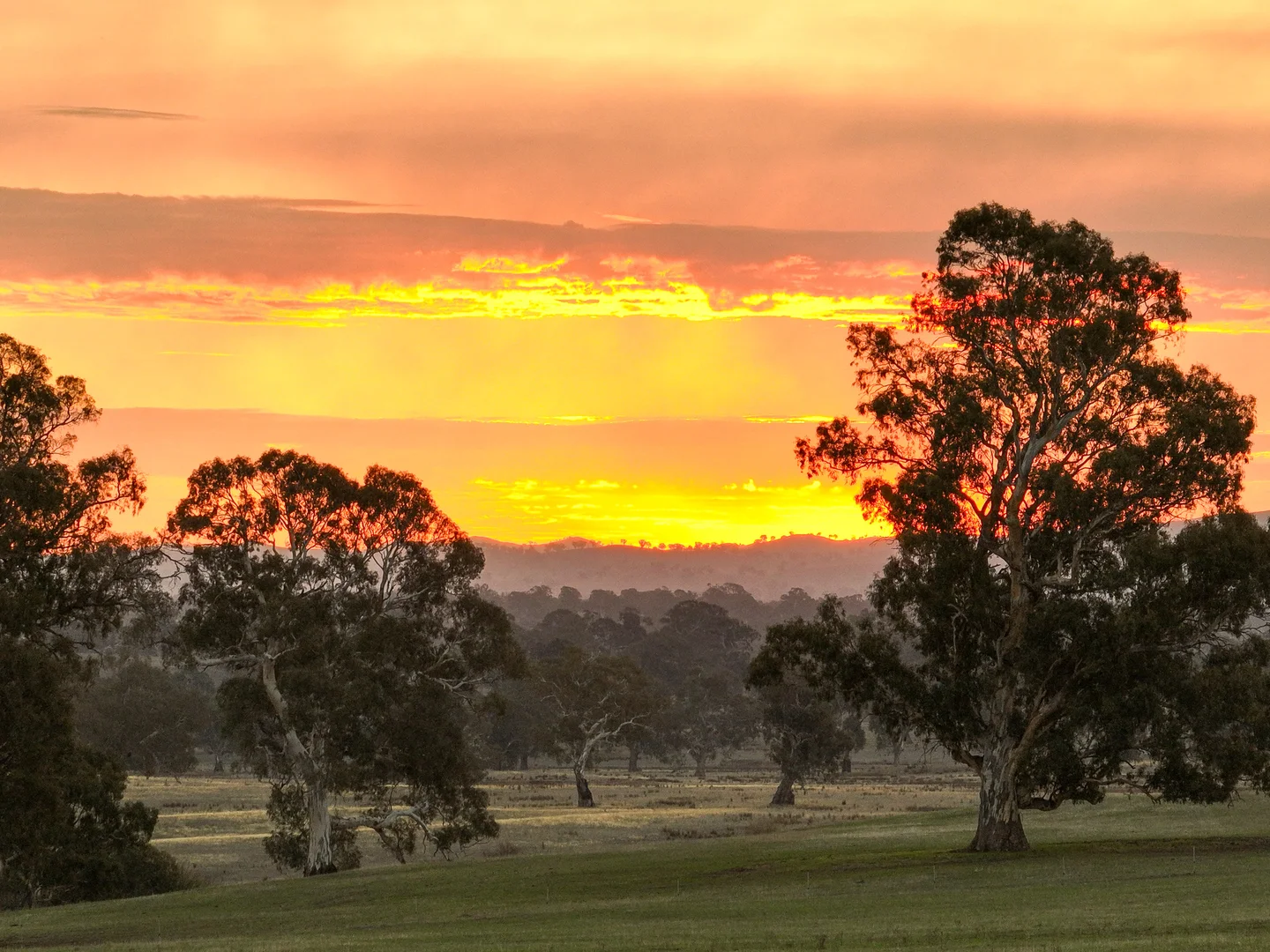 Additional image 34 of 75 McLeod Lane, Mansfield VIC 3722