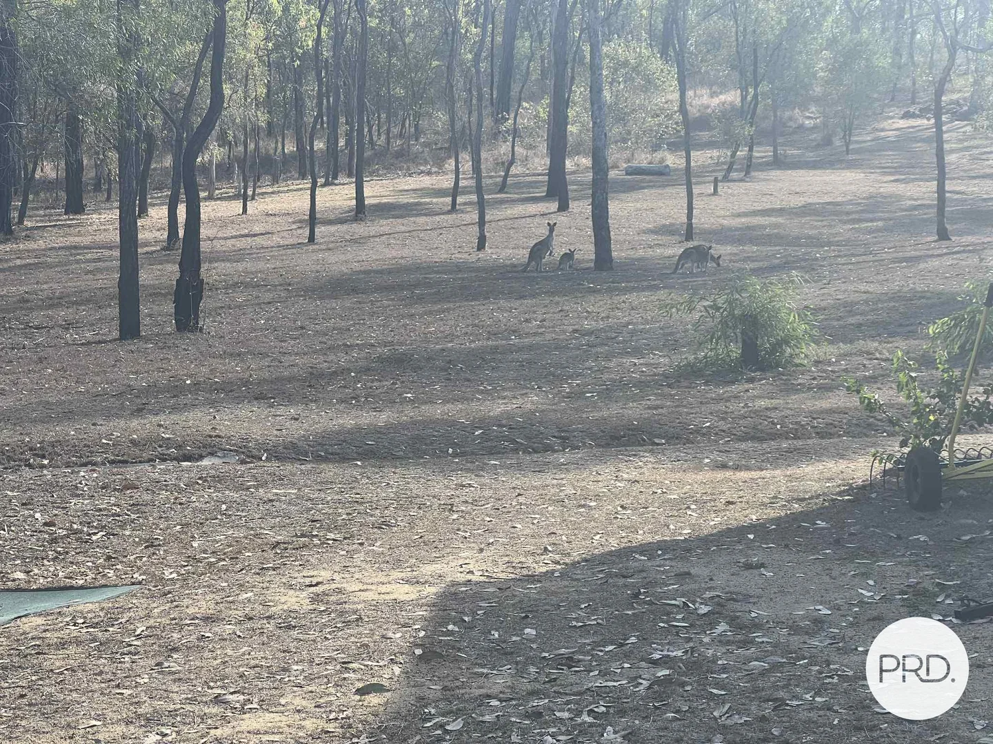 Additional image 9 of 243 Messmate Drive, Miriam Vale QLD 4677