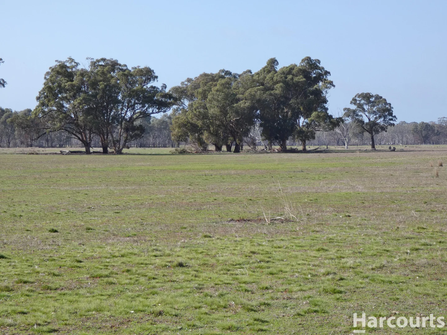 Additional image 19 of 6080 Western Highway, Dadswells Bridge VIC 3385