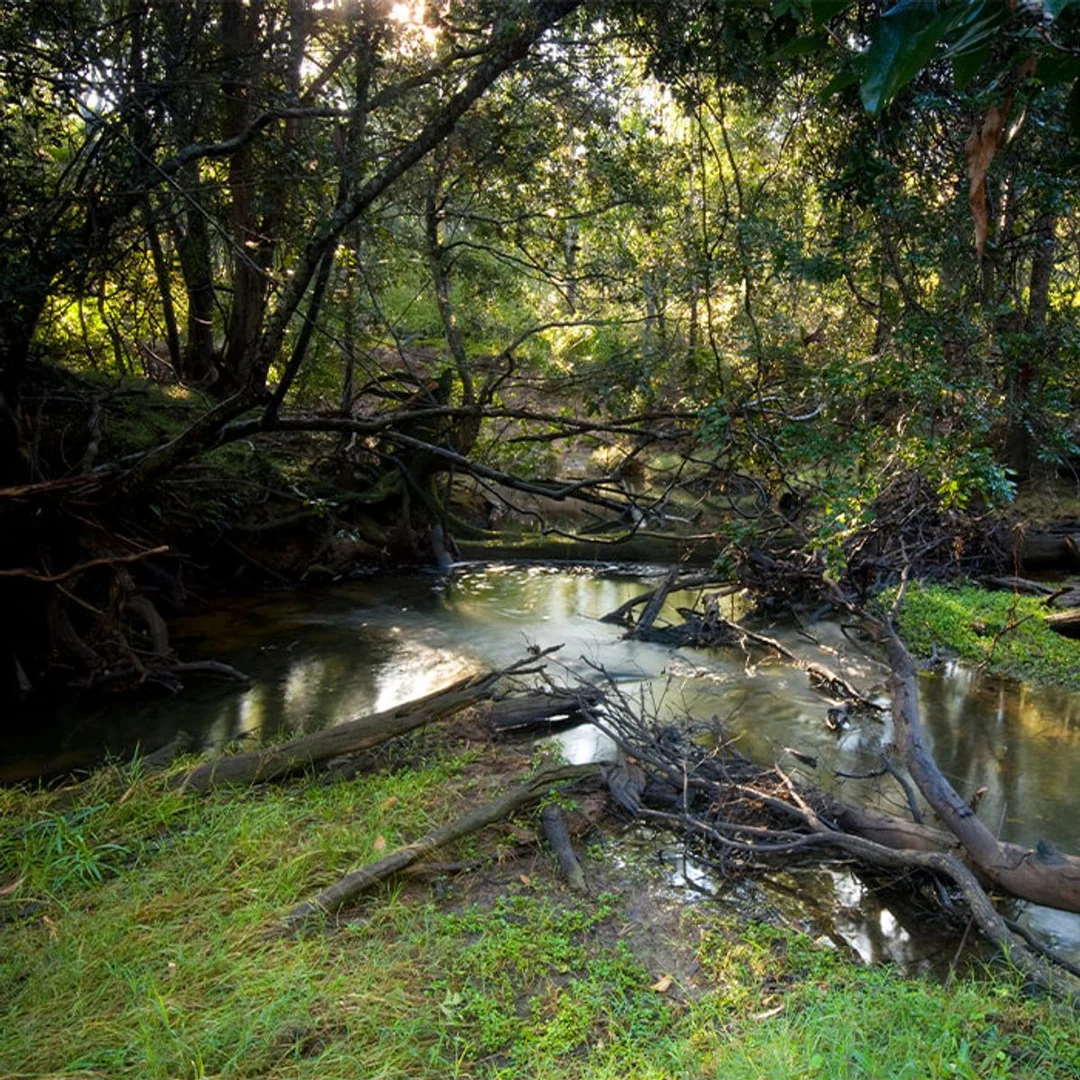 Additional image 5 of STAGE 8 ABINGTON HEIGHTS ESTATE, North Isis QLD 4660