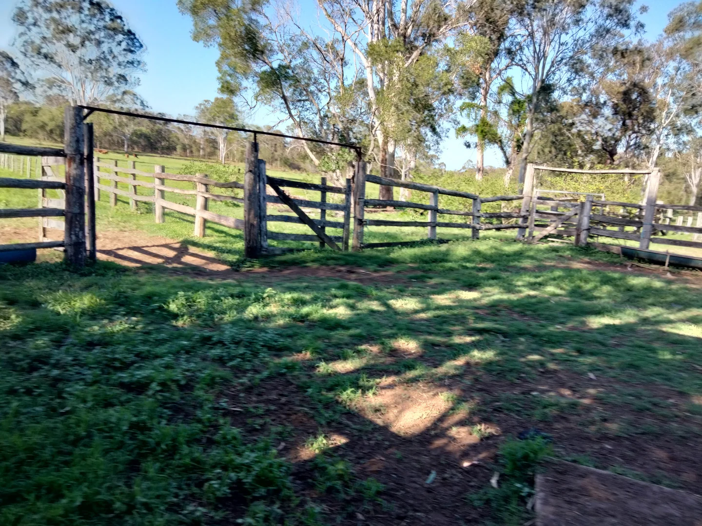 Additional image 75 of 2913 Rosedale Road, Yandaran QLD 4673