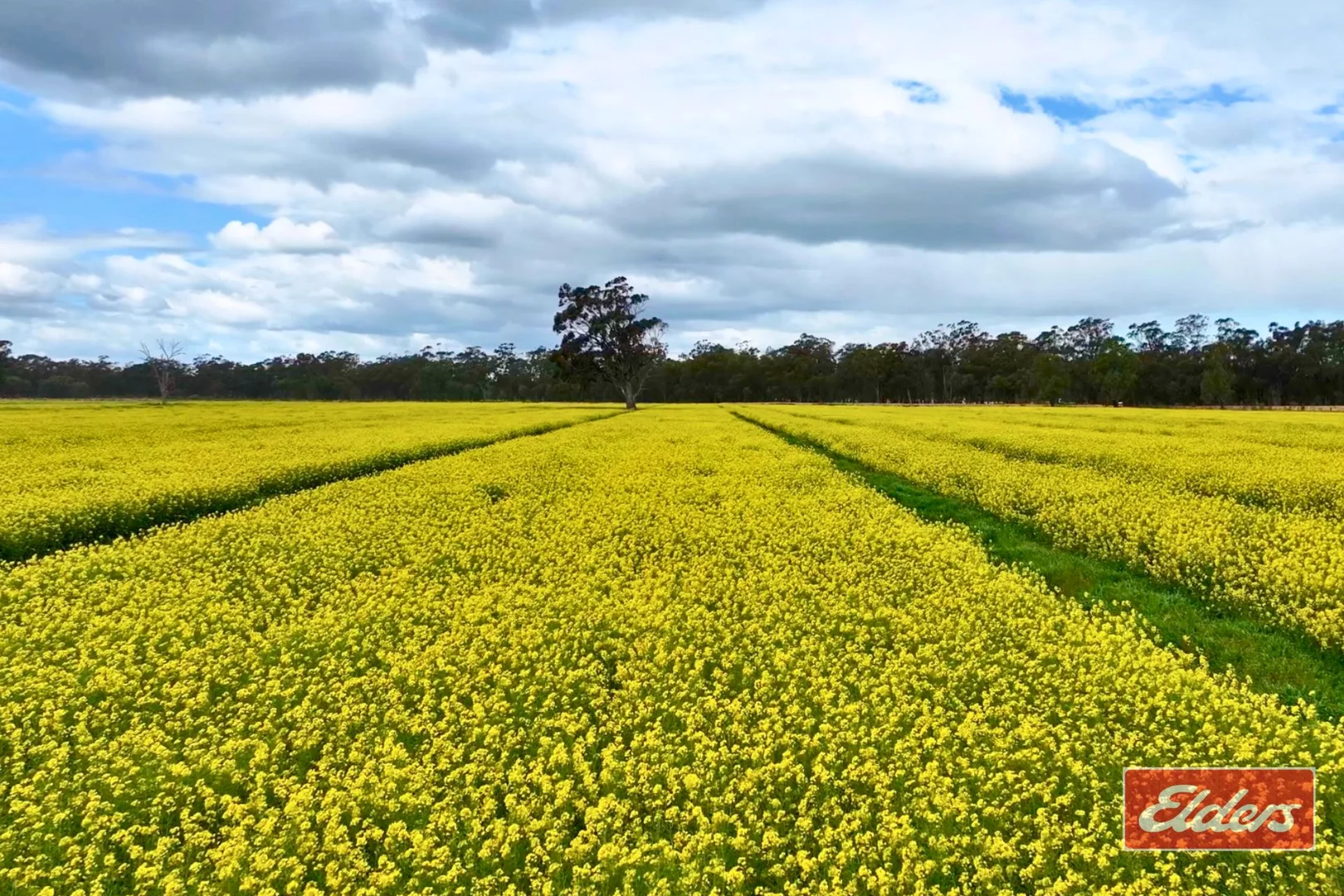 Additional image 7 of Lot 2 Old Barmah Road, Moama NSW 2731