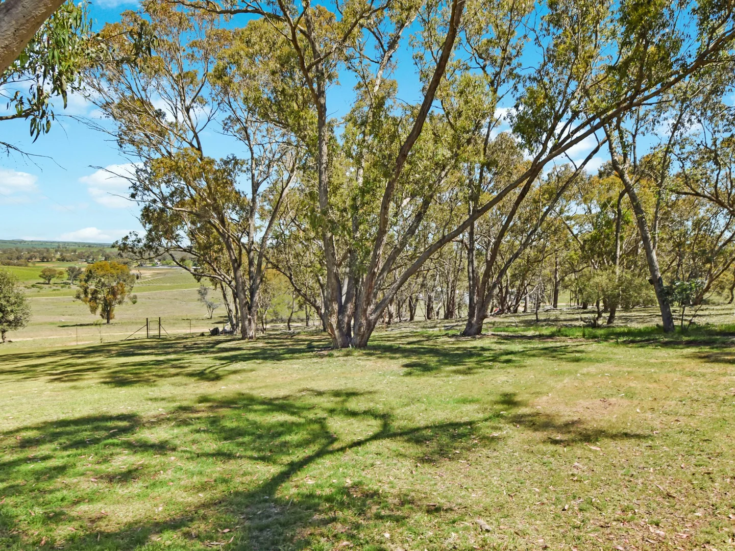 Additional image 26 of 138 Black Range Road, Young NSW 2594