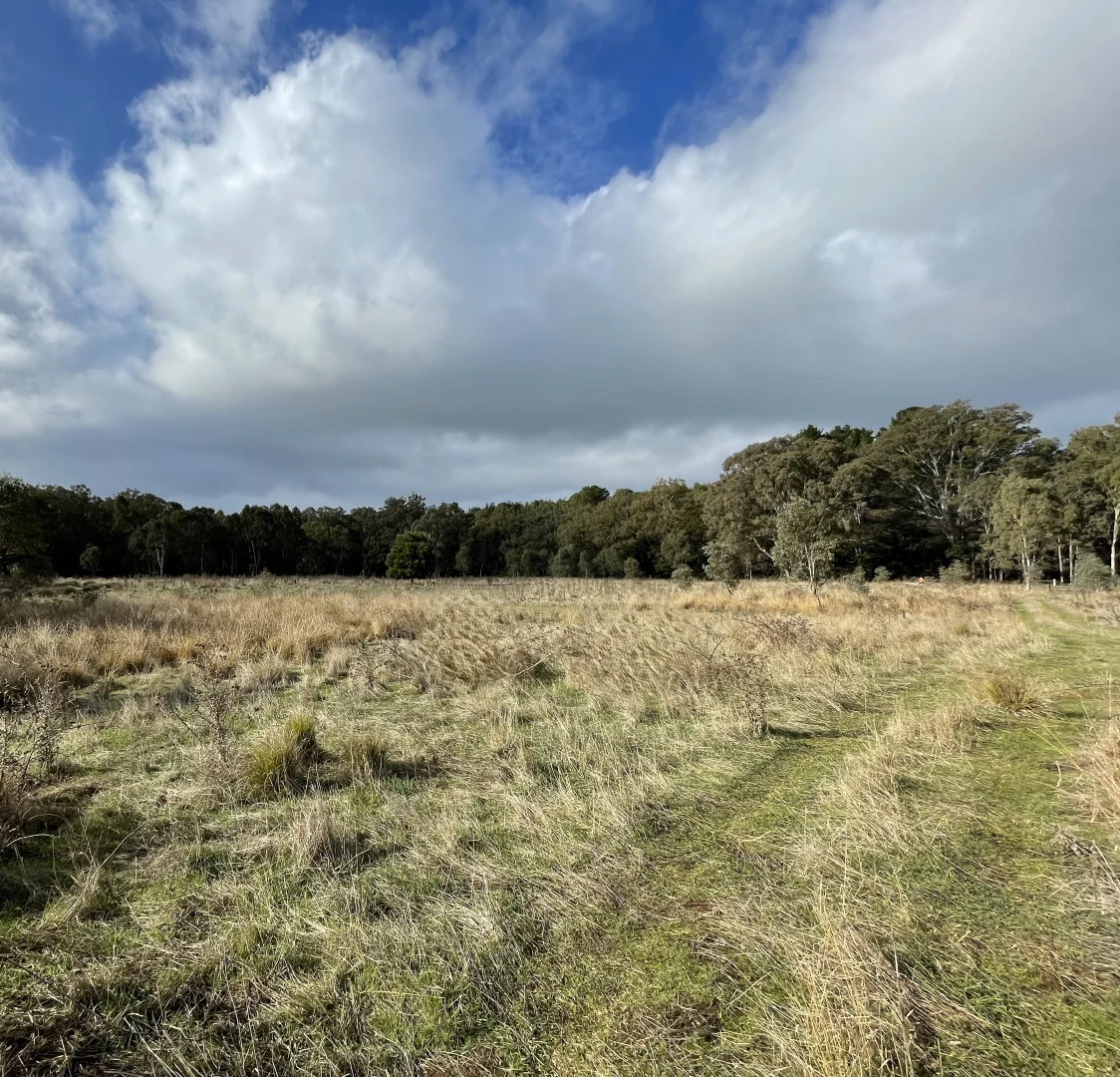 Additional image 9 of Dartmoor-Hamilton Road, Dartmoor VIC 3304