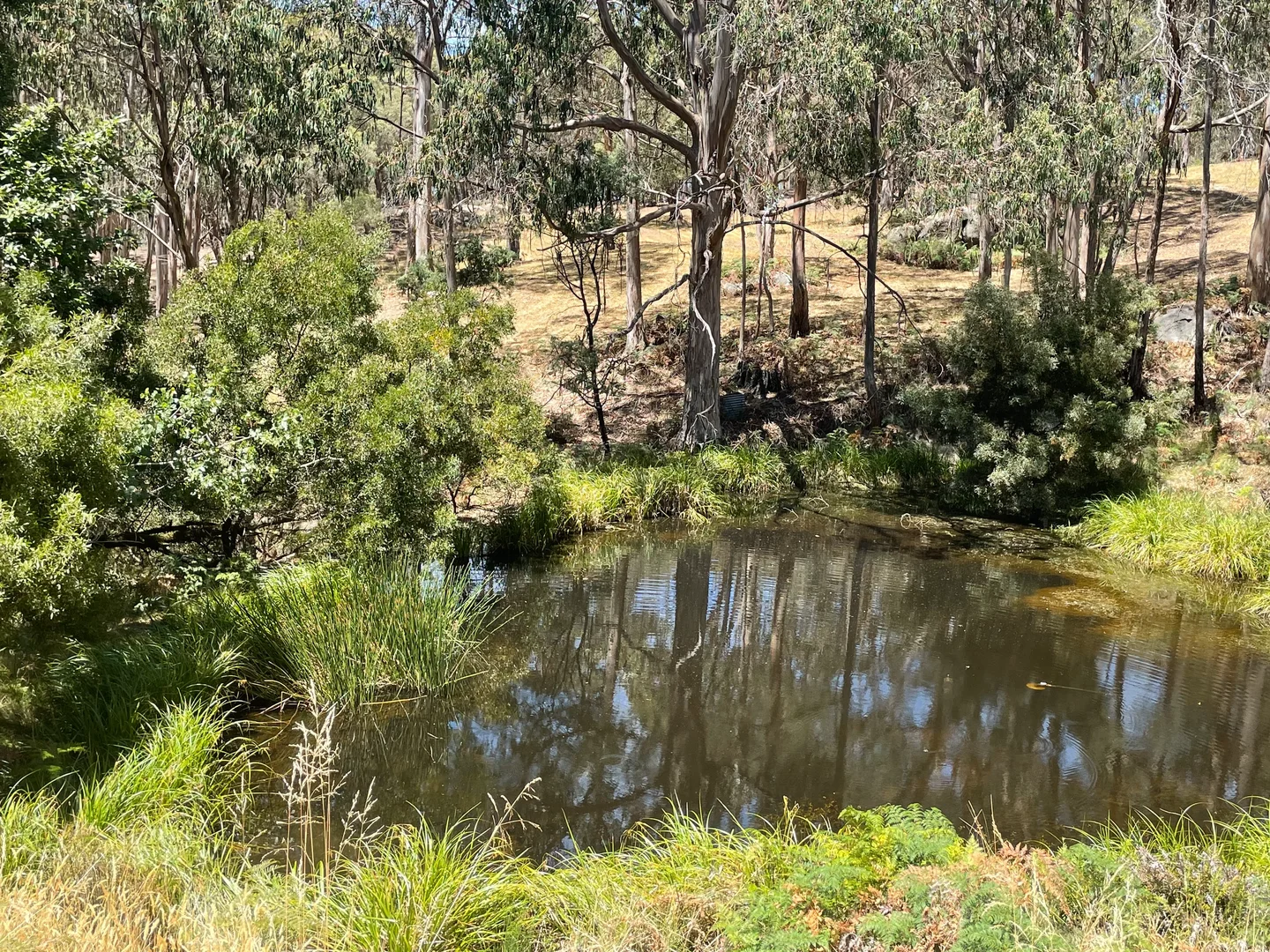 Additional image 7 of Strathbogie VIC 3666