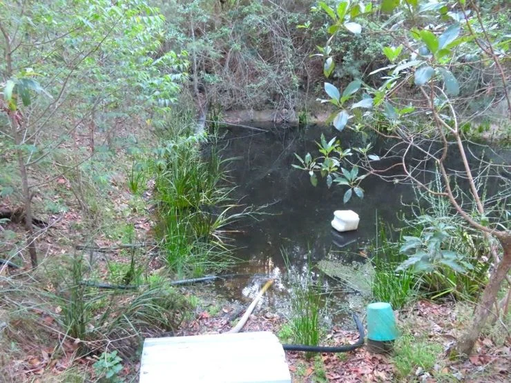 Additional image 18 of 1215 Rivertree Road, Stanthorpe QLD 4380