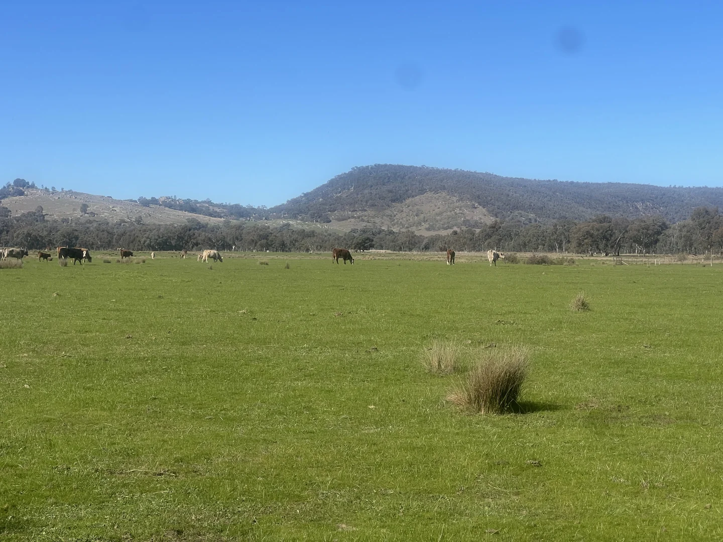 Additional image 16 of Cheesley Gate Road, Indigo Valley VIC 3688