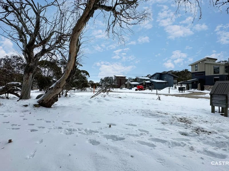 Additional image 3 of 2 Roney Mac's Twist, Dinner Plain VIC 3898