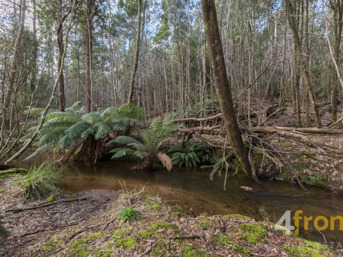 Additional image 20 of 273 Burns Road, Wyena TAS 7254