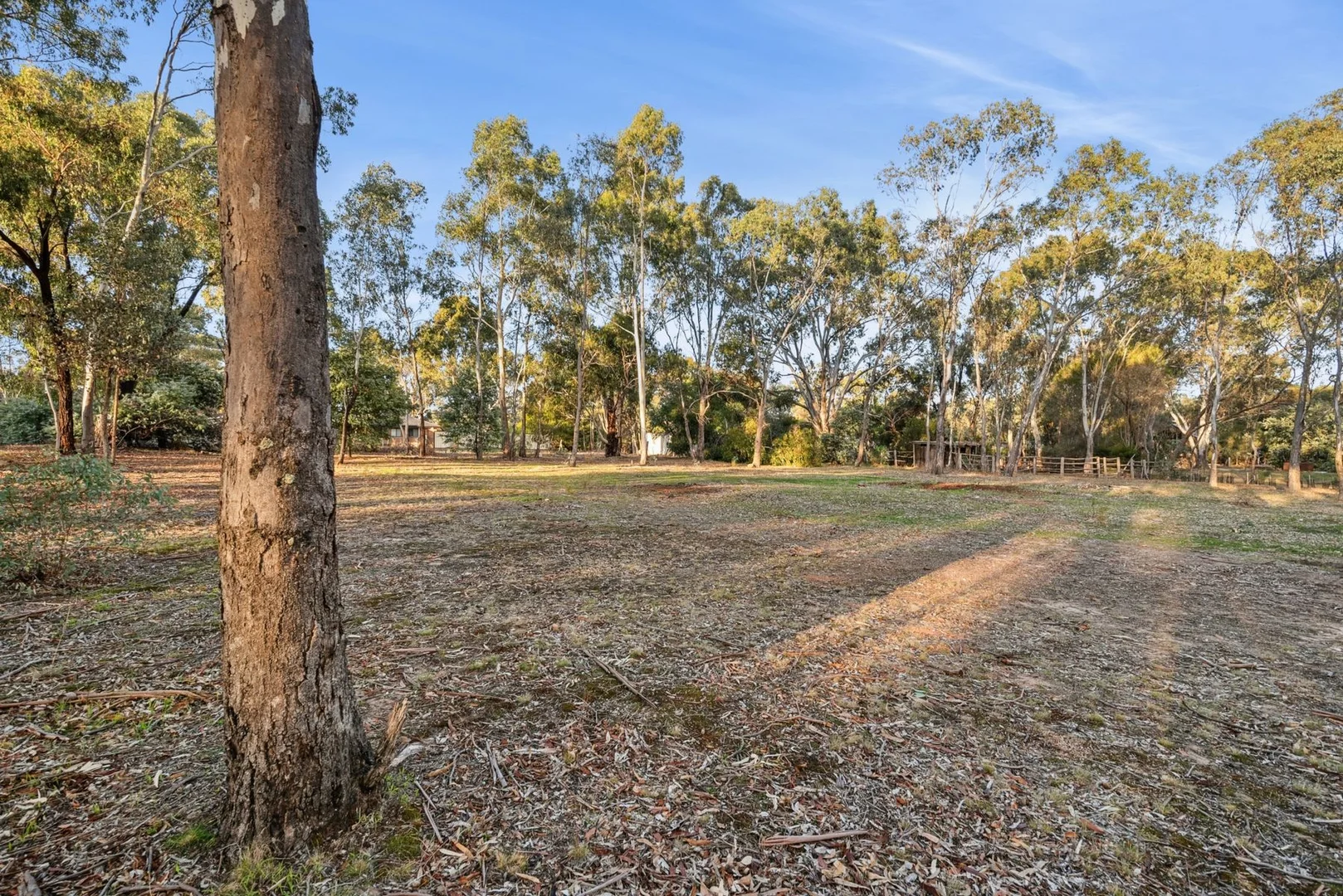 Additional image 6 of 116 Caldwell Street, Heathcote VIC 3523