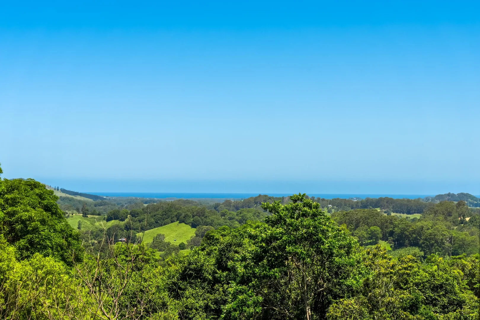 Additional image 29 of 20 Farrants Road, Farrants Hill NSW 2484