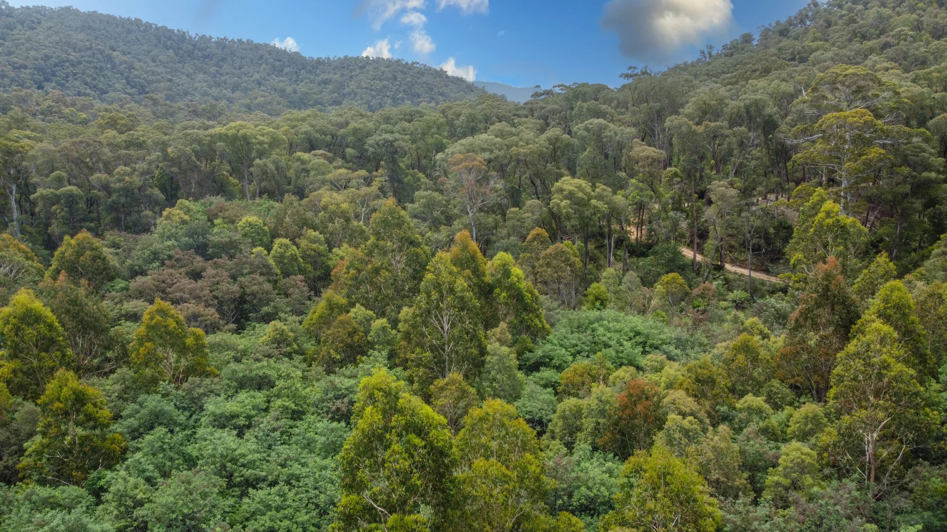 Additional image 11 of CA1 Mansfield-Woods Point Road, Knockwood VIC 3723