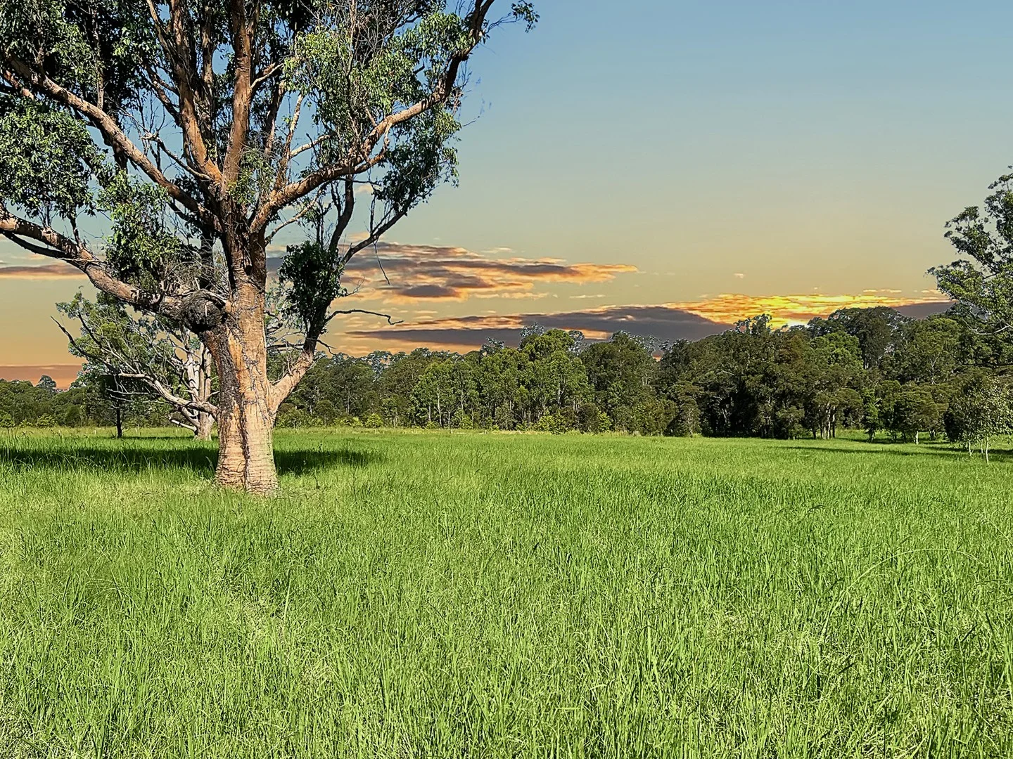 Additional image 3 of 64 Mooral Creek Road, Cedar Party NSW 2429
