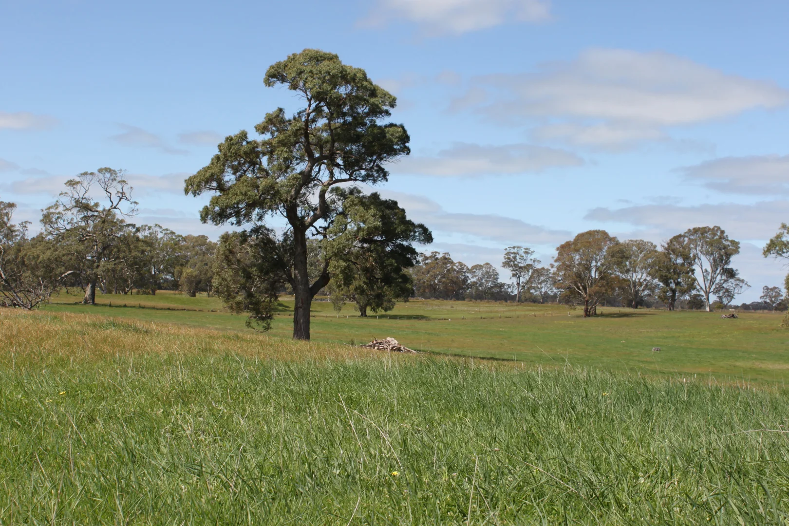 Additional image 21 of Lot/11 Casterton Apsley Road, Apsley VIC 3319