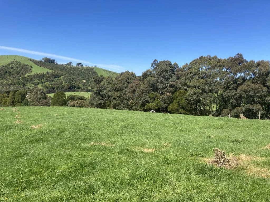 Additional image 11 of 465 Woomera Creek Rd, Toora North VIC 3962