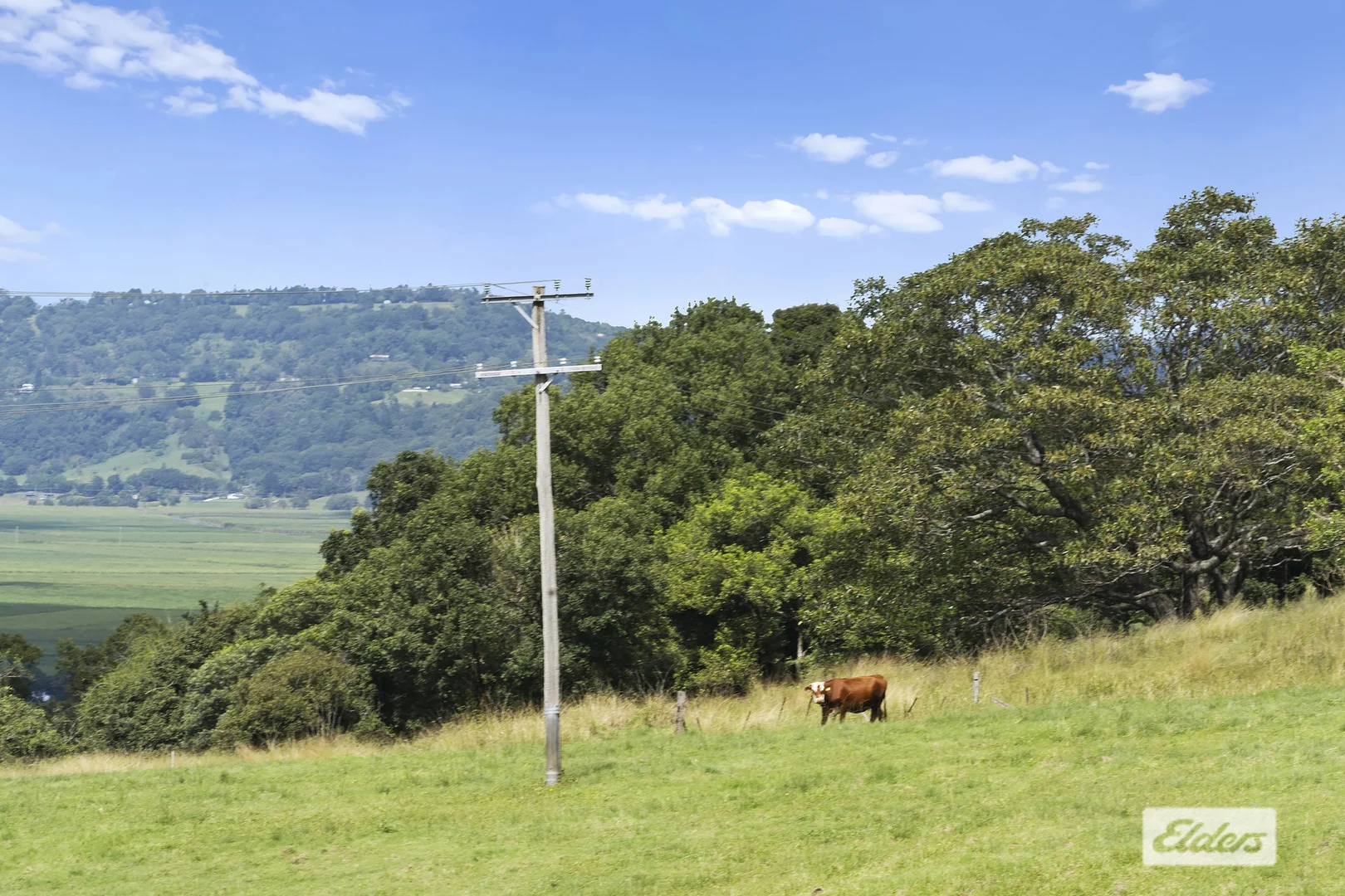 Additional image 25 of 889 Terranora Road, Bungalora NSW 2486