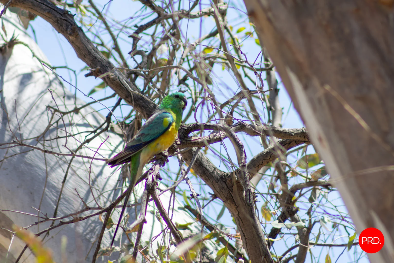 Additional image 15 of 63 Blacksmiths Lane, Mia Mia VIC 3444