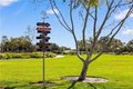 Additional image 66 of 117 Laceflower, Irvine, CA, 92618