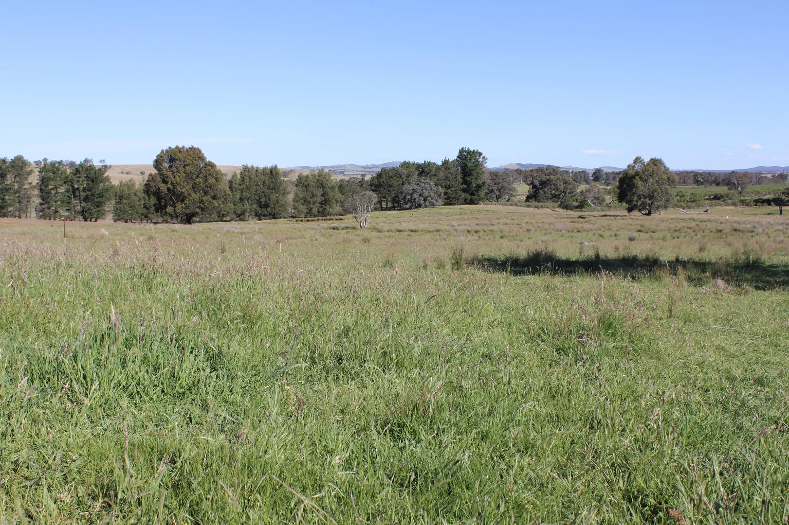 Additional image 4 of 48 & 98/413 Flacknell Creek Road, Gunning NSW 2581