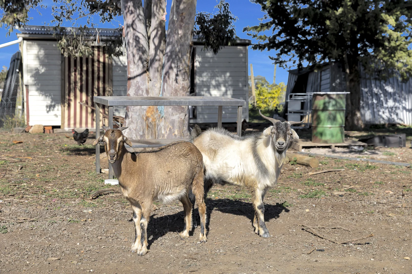 Additional image 19 of 120 Narraburra Road, Little River VIC 3211