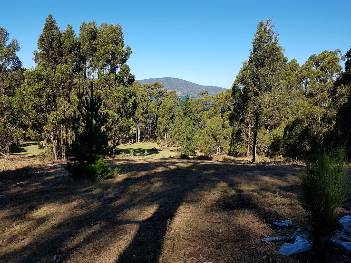 Additional image 9 of 16 & 20 Russell Street, Gordon TAS 7150