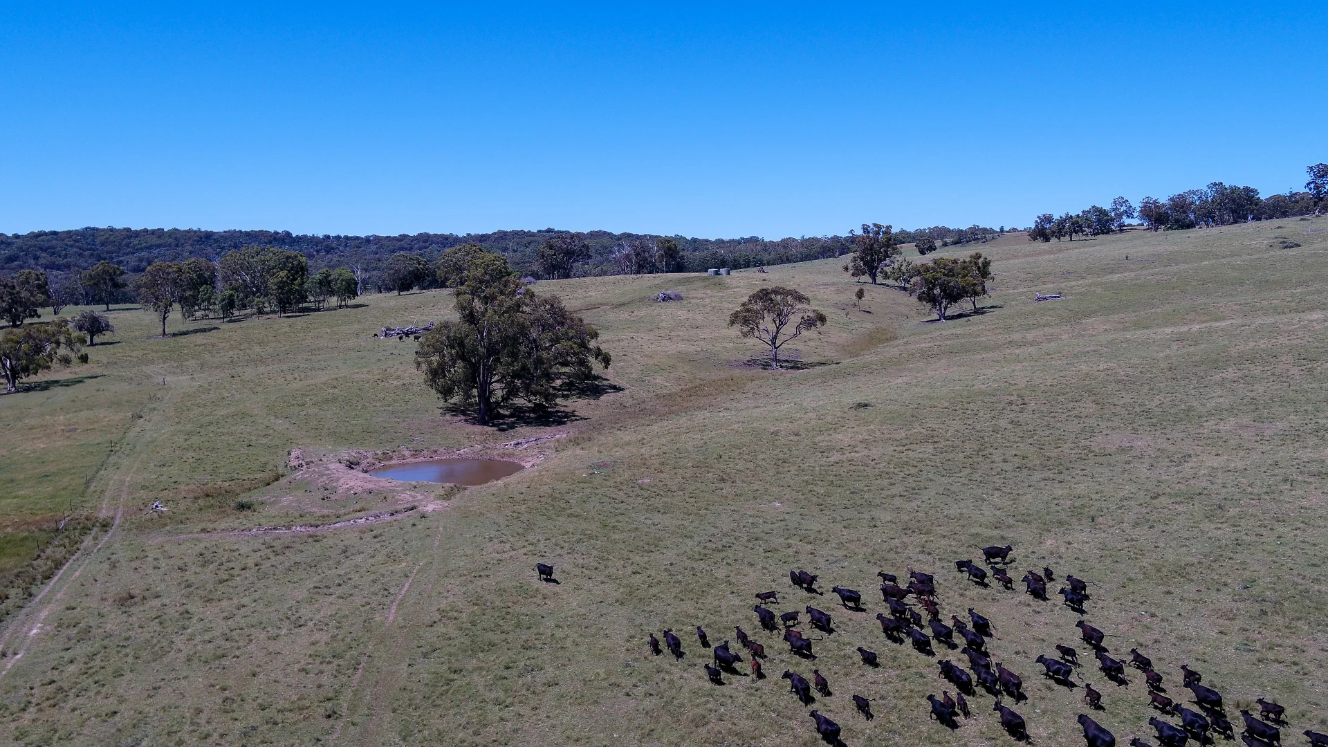 Additional image 23 of 134 Ruwenzorie Rd Wellingrove, Glen Innes NSW 2370