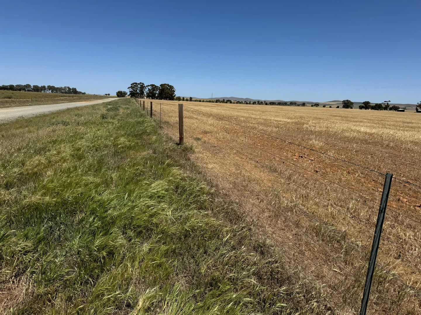 Additional image 42 of 1 Tohls Road, Booborowie SA 5417
