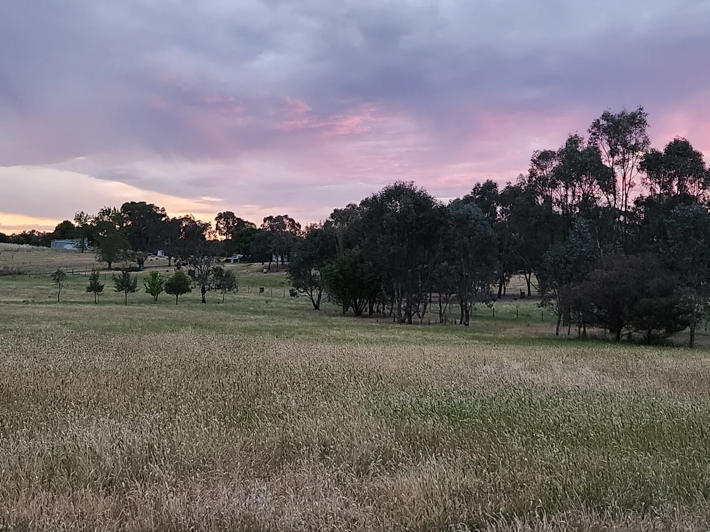 Additional image 9 of 225 Belmore Road, Young NSW 2594