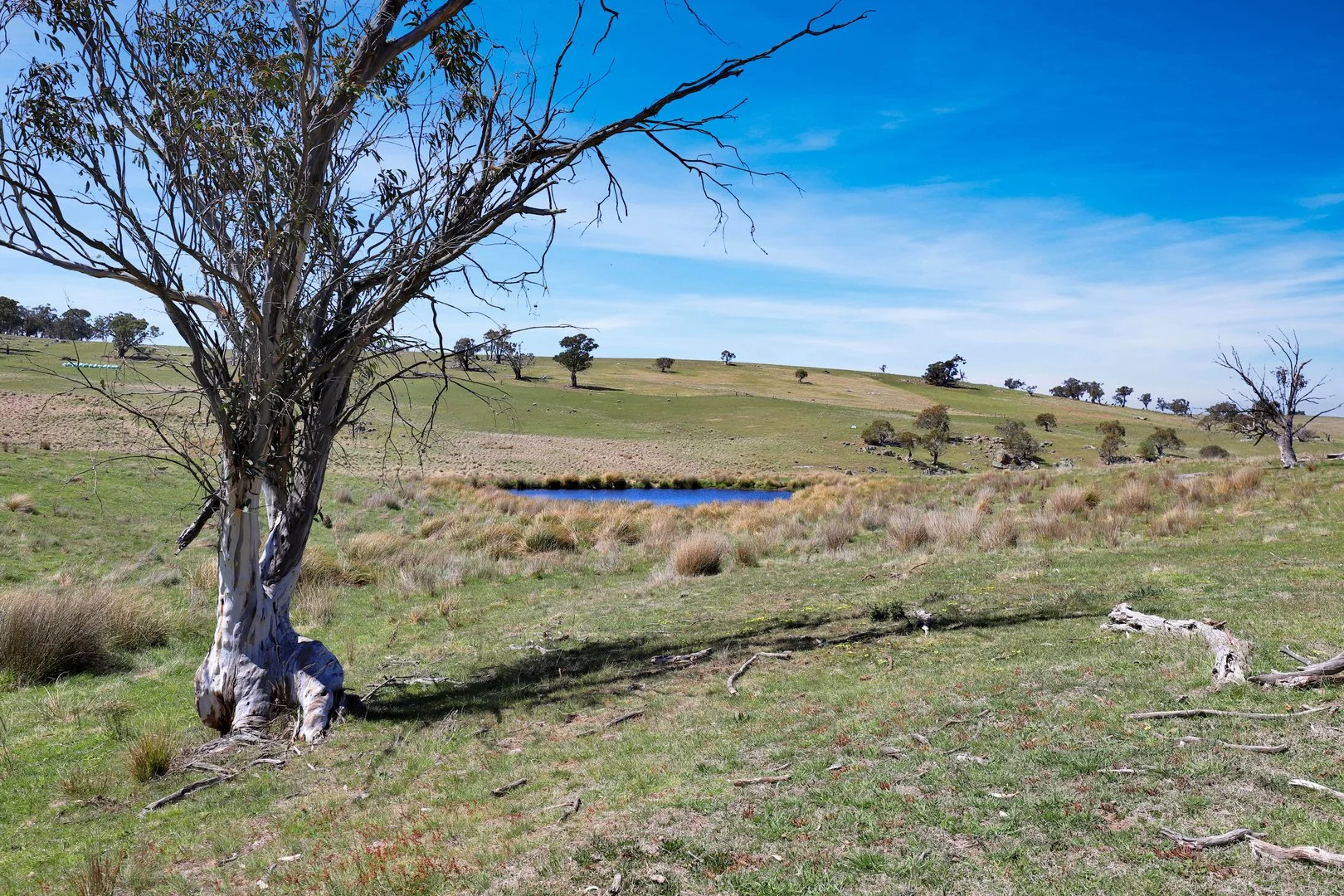 Additional image 9 of "Glenroy" Corrowong Road, Delegate NSW 2633