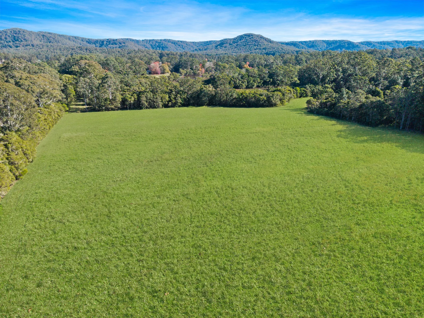 Additional image 2 of 1559 Mandalong Road, Dooralong NSW 2259