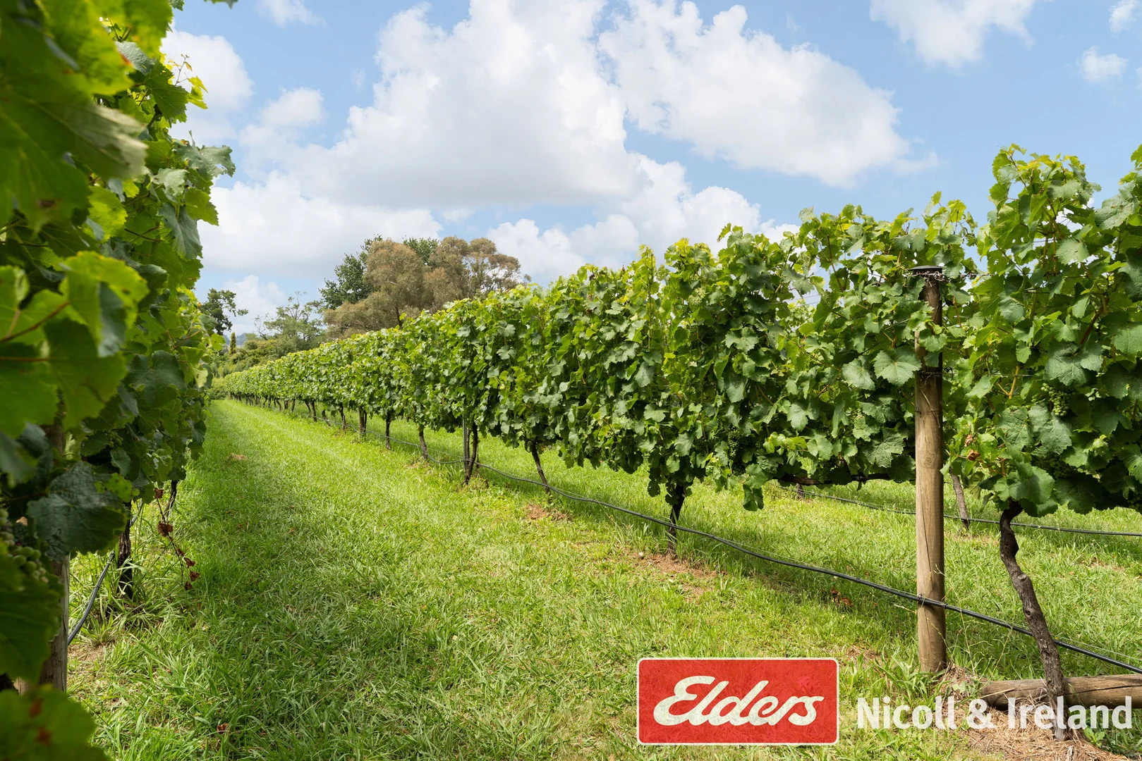 Additional image 27 of 42 Wallace Lane, Canobolas NSW 2800