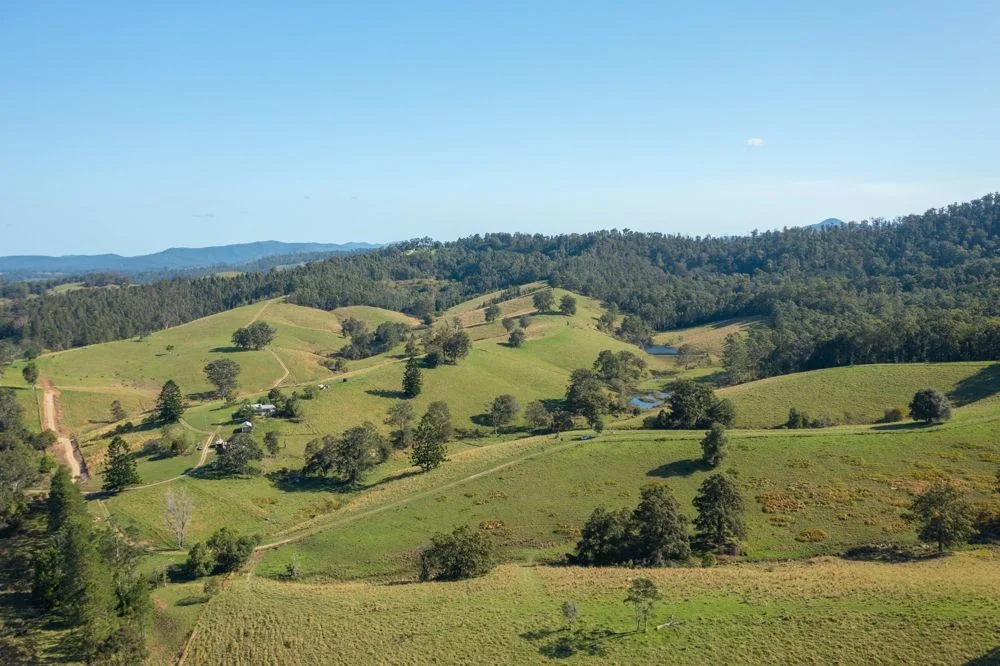 Additional image 8 of 353 Rhones Creek Road, Talarm NSW 2447