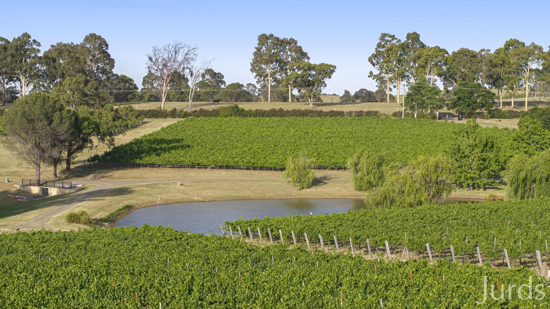 Additional image 8 of 110 Old North Road, Pokolbin NSW 2320