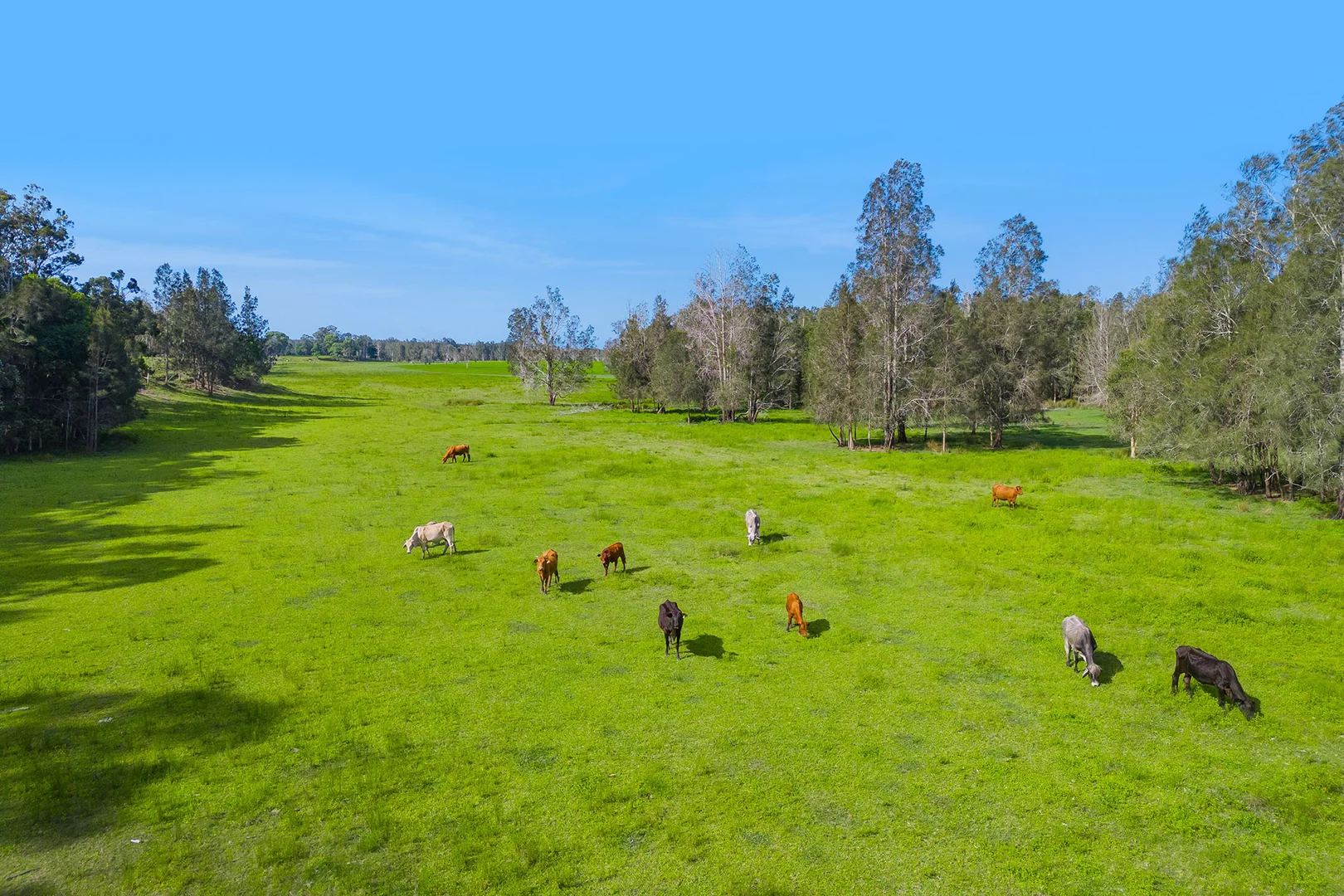 Additional image 8 of 1/437 Seale Road, Belmore River NSW 2440