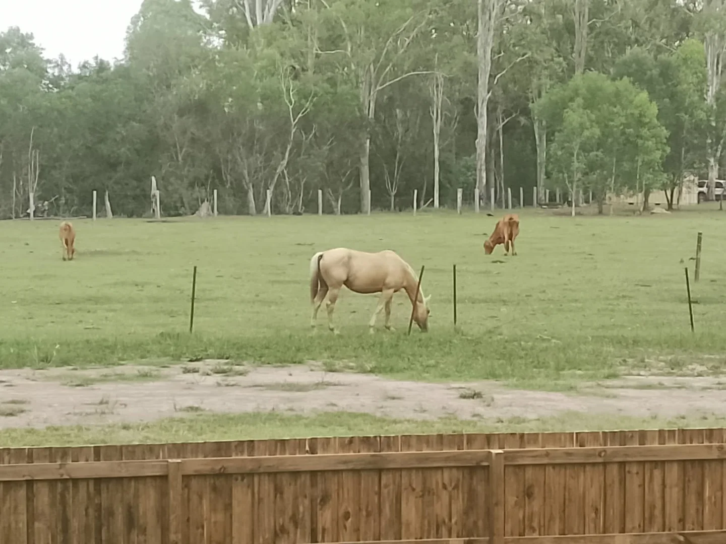 Additional image 24 of 1071 Mungar Road, Mungar QLD 4650