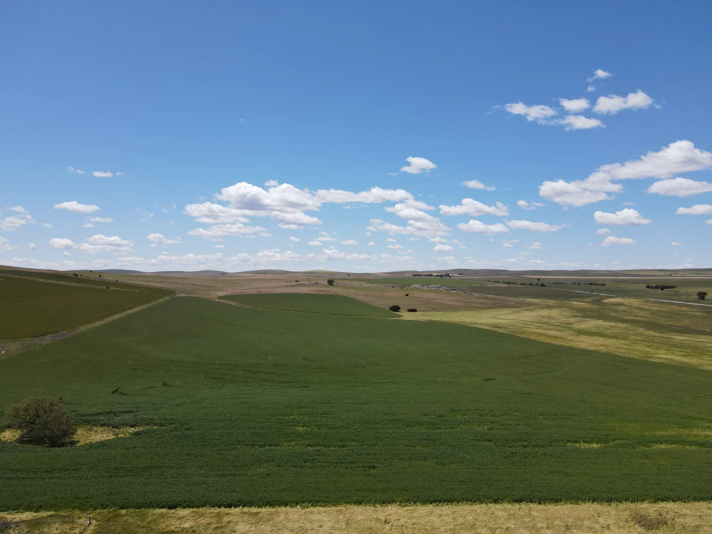 Additional image 6 of 1256 Belalie Rd, Canowie Belt SA 5420