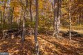 Additional image 38 of 1900 Fletcher Rd, Aberdeen, MD, 21001
