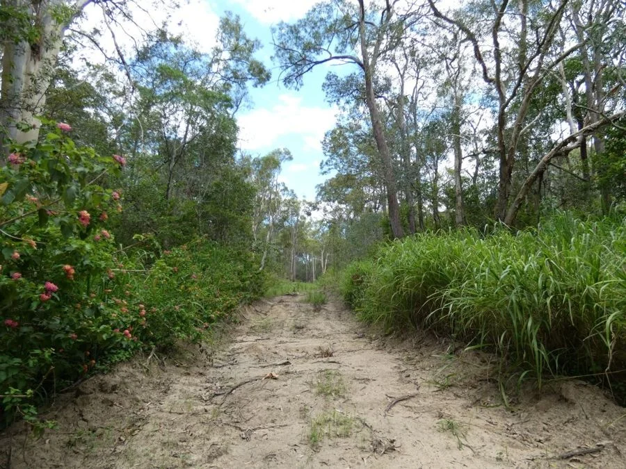 Additional image 20 of Lot 41 Moolyung Road, Waterloo QLD 4673