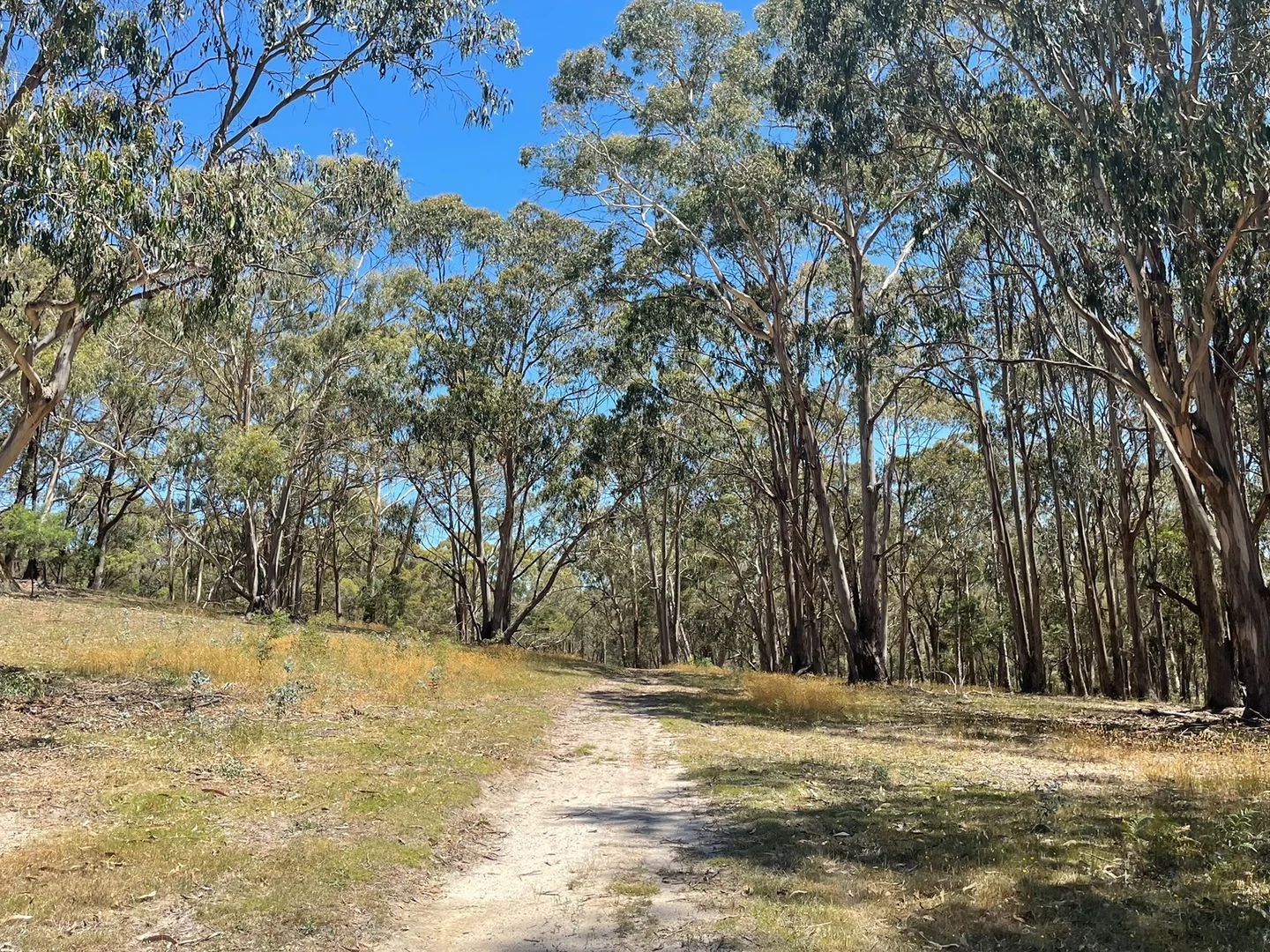 Additional image 18 of Strathbogie VIC 3666