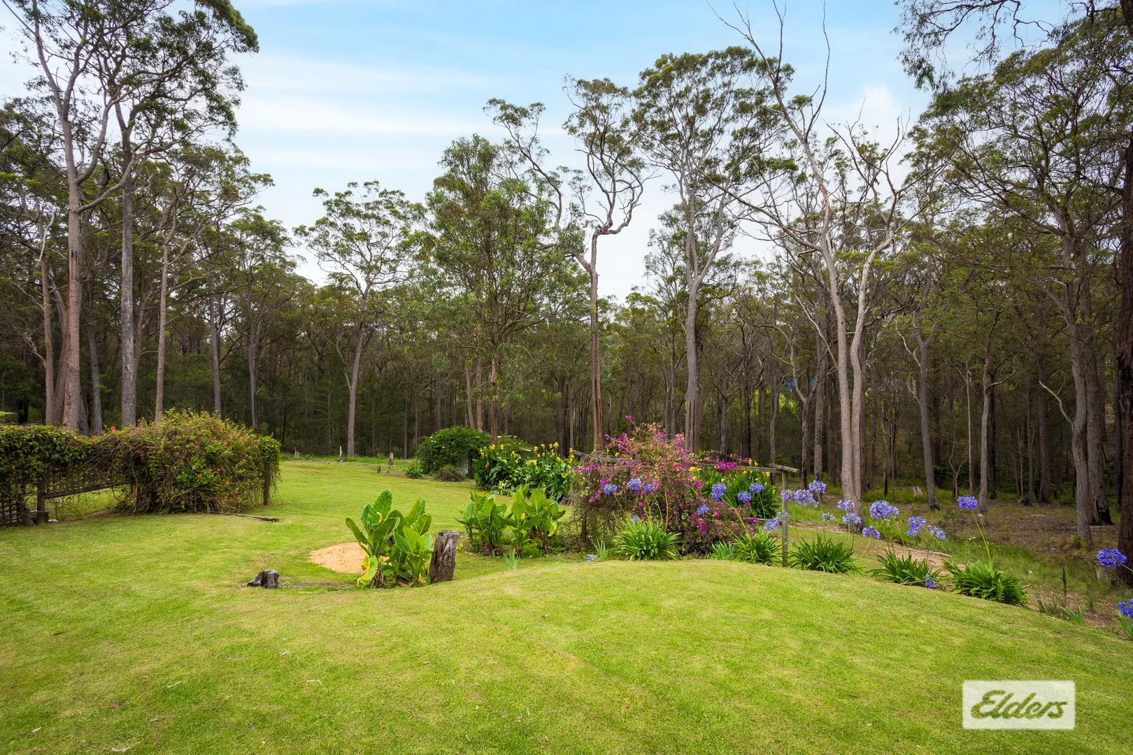 Additional image 29 of 6 Raktari Place, Kalaru NSW 2550