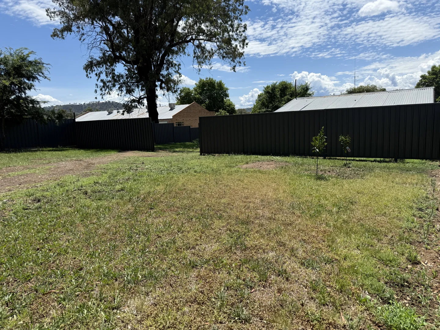 Additional image 18 of 139 Queen Street, Barraba NSW 2347